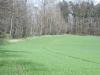 <img100*0:stuff/sf/field-36.jpg>