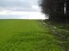 <img100*0:stuff/sf/field-37.jpg>