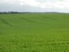 <img100*0:stuff/sf/field-38.jpg>