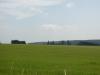 <img100*0:stuff/sf/field-45.jpg>