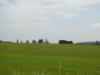 <img100*0:stuff/sf/field-46.jpg>