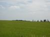 <img100*0:stuff/sf/field-47.jpg>
