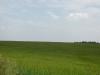 <img100*0:stuff/sf/field-48.jpg>