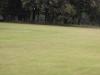<img100*0:stuff/sf/field-53.jpg>