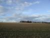<img100*0:stuff/sf/field-6.jpg>