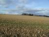 <img100*0:stuff/sf/field-8.jpg>