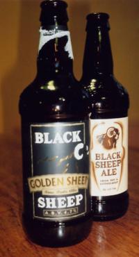 <img200*0:stuff/sgportfolio_blacksheep1.jpg>