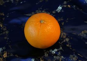 <img0*200:stuff/sgportfolio_plant1.jpg>