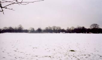 <img0*200:stuff/sgportfolio_serenity1.jpg>