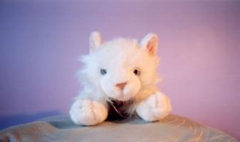 <img0*200:stuff/sgportfolio_stilllife1.jpg>