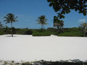 <img300*0:stuff/sheepy_landcape1.jpg>