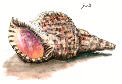 <img400*0:stuff/shell.png>