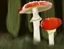 <img0*100:stuff/shroomies.jpg>