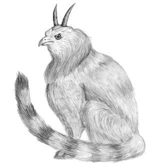 <img300*0:stuff/sileve1.2.jpg>
