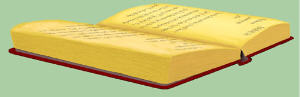<img:http://elftown.heddate.com/stuff/silver_book.jpg>