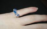 <img150*0:stuff/silverbluering1.jpg>