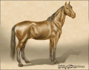 <img300*0:stuff/skanna000jhfk2%20(kopia).jpg>