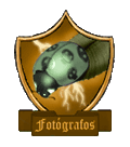 <img:stuff/skullbug5.gif>