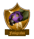 <img:stuff/skullbug6.gif>