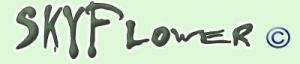 <img300*0:stuff/skyflower.jpg>