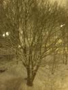 <img100*0:http://elftown.heddate.com/stuff/snow24march.jpg>
