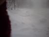 snowstorm