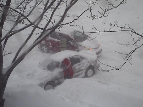 <img500*375:stuff/snowstorm1.jpg>