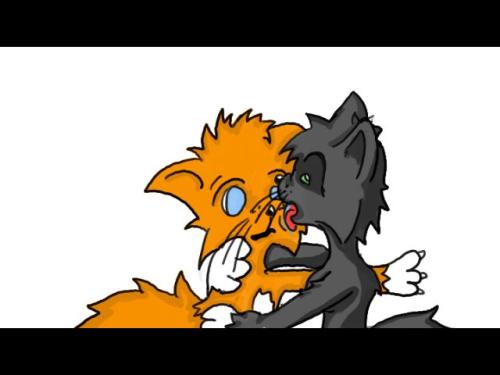<img500*375:stuff/somethinglikeafurrykiss.jpg>