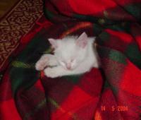 <img200*0:stuff/sososleep.jpg>