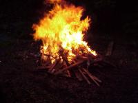<img200*0:stuff/spincrus-phoenix-1.jpg>