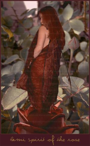 <img300*0:http://elftown.heddate.com/stuff/spirit-of-the-roses.jpg>