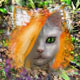 <img:stuff/spring%20mooncat%20avatar.jpg>