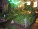 <img0*100:stuff/spring%20night%202.jpg>