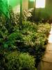 <img0*100:stuff/spring%20night%203.jpg>