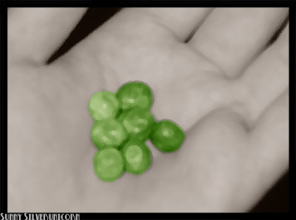 <img:http://elftown.heddate.com/stuff/ss-thepea.jpg>