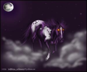<img300*0:http://elftown.heddate.com/stuff/starappaloosahorsiezab.jpg?y=0&x>