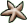<img:stuff/starfish%20copy.gif>