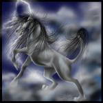 <img150*0:stuff/stormweatherzab1.jpg>