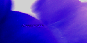 Dreamscape