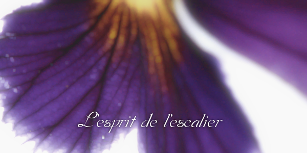 <img:stuff/story-lesprit.png>