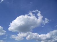 <img200*0:stuff/strand%20019.JPG>