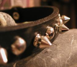 <img250*0:stuff/studded%201.jpg>