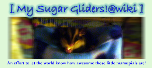 <img:stuff/suggiebanner!.jpg>
