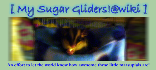 <img:stuff/suggiehousebanner!.jpg>