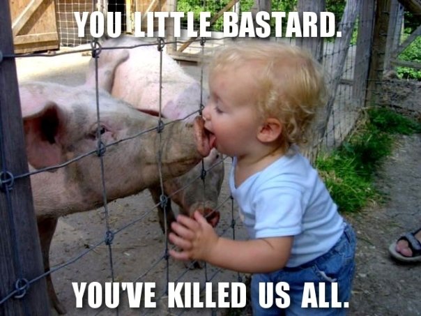 <img:stuff/swine_flu.jpg>