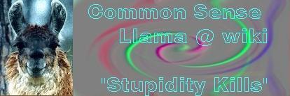 <img:http://elftown.heddate.com/stuff/swirly4.jpg>