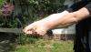 <img100*0:stuff/sword_09.jpg>