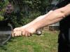 <img100*0:stuff/sword_10.jpg>
