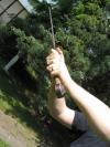 <img100*0:stuff/sword_12.jpg>
