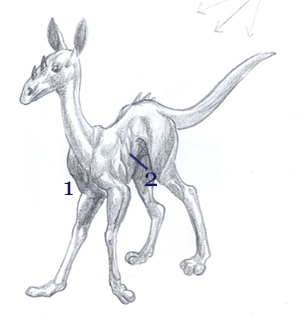 <img:stuff/tdfc.4.jpg>